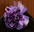 Petite African violet corsage -DESIGNS WILL VARY -  NO Stem - Clusters of African violets on a leaf - Embellished with ribbon and pearls - Ribbon and pearls will vary  - CLARA -Delta Sigma Theta African Violet Dress  corsage