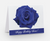 Birthday Zeta Notecards- Blue Rose - Zeta Birthday Rose - Zeta Phi Beta Sorority, Inc. - Notecards