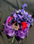  DELTA DEAR African Violets Cluster Corsage  -DESIGNS WILL VARY - READ DESCRIPTION -   DELTA DEAR BROOCH - Purple and Red Ribbon  - Delta Sigma Theta Corsage - African Violet and Pearls Corsage - African Violet -Delta Sigma Theta 