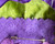 THE COLLEGIATE - Delta “mini” 3" - 4" African violet corsage - COLLEGIATE - African violet florals- Approx. 3.5" - 4" in size - DESIGNS WILL VARY - Ribbon and Tulle will vary - corsage for Deltas - African violets