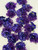 THE COLLEGIATE - Delta “mini” 3" - 4" African violet corsage - COLLEGIATE - African violet florals- Approx. 3.5" - 4" in size - DESIGNS WILL VARY - Ribbon and Tulle will vary - corsage for Deltas - African violets