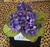 African Violets Arrangement - African Violets - Delta African Violets and Symbols - Crimson and Cream - Delta Sigma Theta Symbols - Silk African Violets