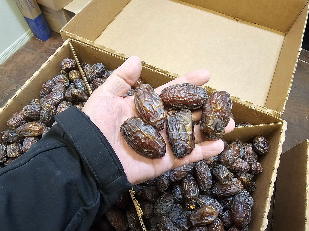 Jumbo Medjool Dates