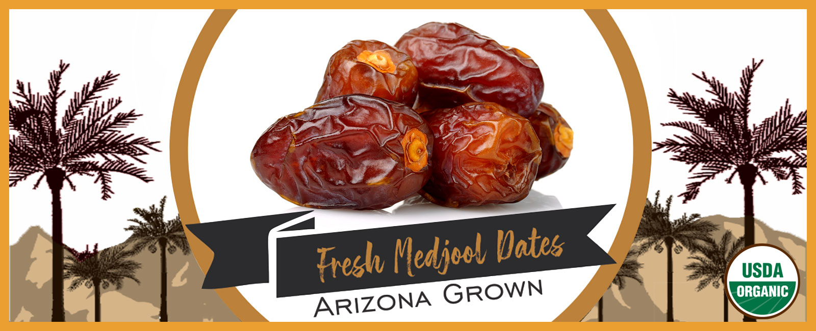 Fresh Organic Medjool Dates Grown in Arizona