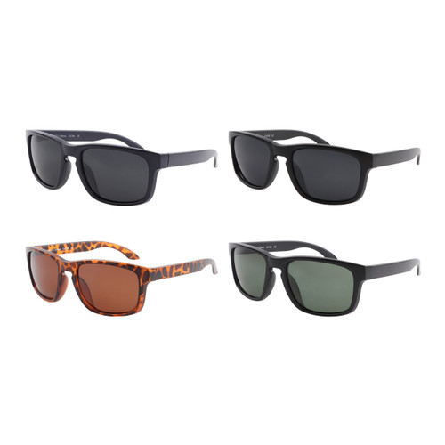 SPTPOL100 | POLARIZED ASSTD. 12 PCS
