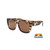 DSPOL52 | POLARIZED ASSTD. 12 PCS