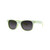 APOL7 | POLARIZED ASSTD. 12 PCS