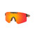 RT19ASST | Realtree® ASSTD. 12 PCS