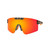 RT19ASST | Realtree® ASSTD. 12 PCS