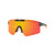 RT19ASST | Realtree® ASSTD. 12 PCS