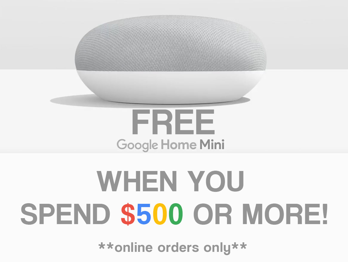 google home mini gift