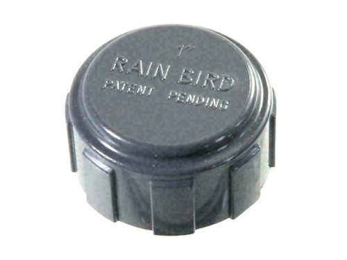 Tapón rosca hembra 1"H RB1348-010 - Astralpool