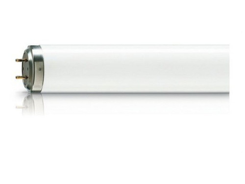 Fluorescente atrapainsectos TL 40W/10 - Philips