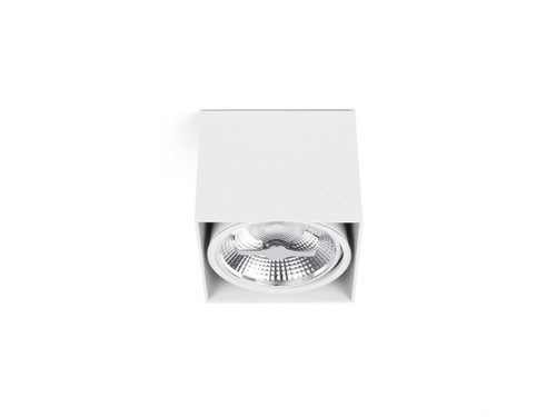 Plafón tecto ar111 100w blanco - Faro
