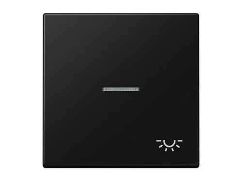 Tecla con visor y simbolo luz ls negro mate - Jung