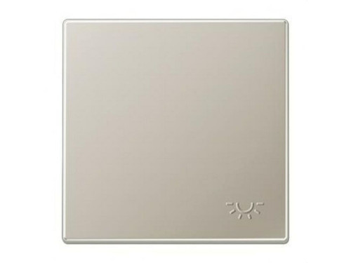 Tecla simple con símbolo luz en relieve inoxidable - Jung