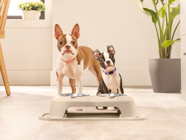 WeatherTech Double High Pet Feeding System | Dog Cat Bowl | BPA-Free Plastic (Grey)