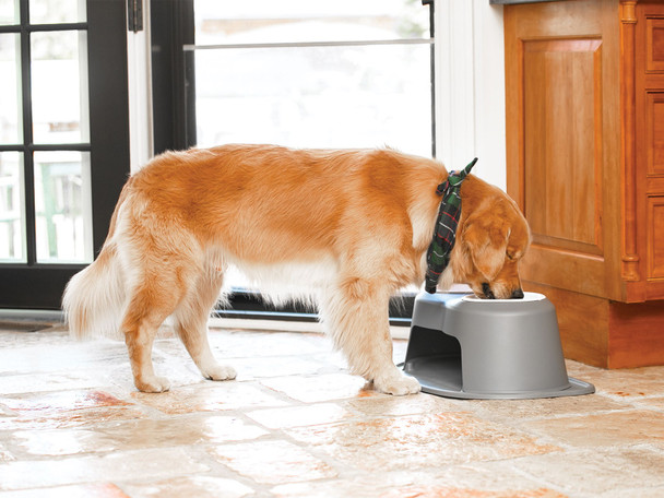 WeatherTech Double High Pet Feeding System | Dog Cat Bowl | BPA-Free Plastic (Grey)