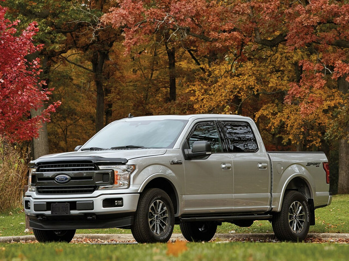 WeatherTech Stone & Bug Deflector (Ford F-150)