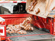 WeatherTech ImpactLiner Truck Bed Liner Cargo Mat | Ford F-150 6'5 (2024+) WeatherTech ImpactLiner Truck Bed Liner Cargo Mat | Ford F-150 6'5 (2024+)