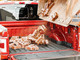WeatherTech ImpactLiner Truck Bed Liner Cargo Mat | RAM 2500/3500 6'4" w/ RamBox (2019+)