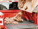 WeatherTech ImpactLiner Truck Bed Liner | Ford F250 Super Duty 2023+