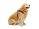 WeatherTech Pet Safety Harness | Adjustable Pet Dog Car Seat Belt Leash Travel Lead