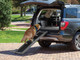 PetRamp | High-Traction Foldable Pet Ramp