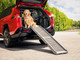 PetRamp | High-Traction Foldable Pet Ramp