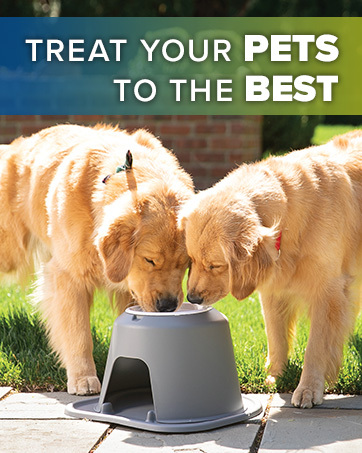 Weathertech Pet Feeding