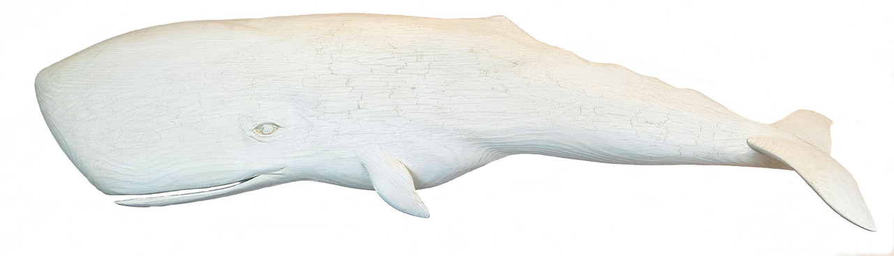 Wy LAND  whale  ワイランド　Tails of Great, Tails of Great Whales – Extra Large – Wyland Worldwide