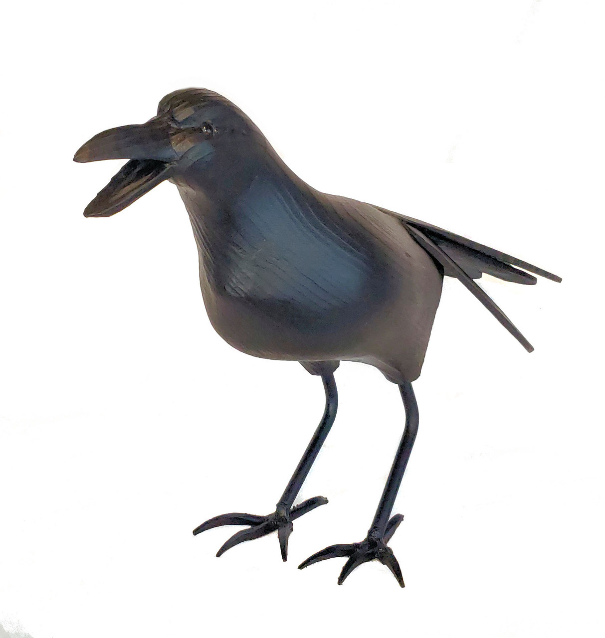 Slat Tailed Crow