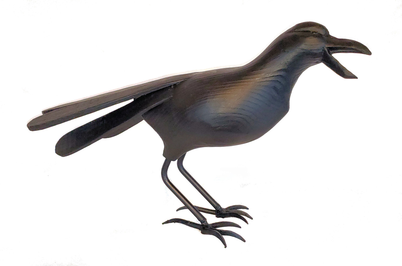 Slat Tailed Crow