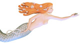 Closeup - Sea Treasures Mermaid