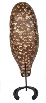 Barred Owl on horseshoe stand