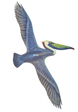 Flying Pelican - reverse side