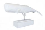 Tabletop Whale