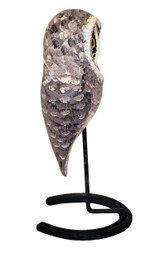 Small owl, great gray owl