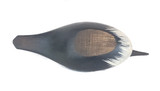 Loon Standard Duck Decoy