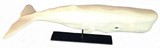 30" Tabletop White Whale - glass eyes