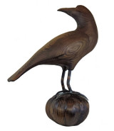 Sho-Shugi Ban Turned Head Crow on Pumpkin