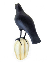 Crow on Tall Pumpkin