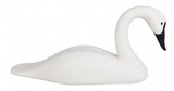 Grand Lake Swan - relaxed position, right