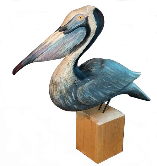 Standing Pelican