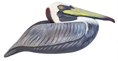 Resting Pelican