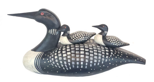 Loon with two passengers