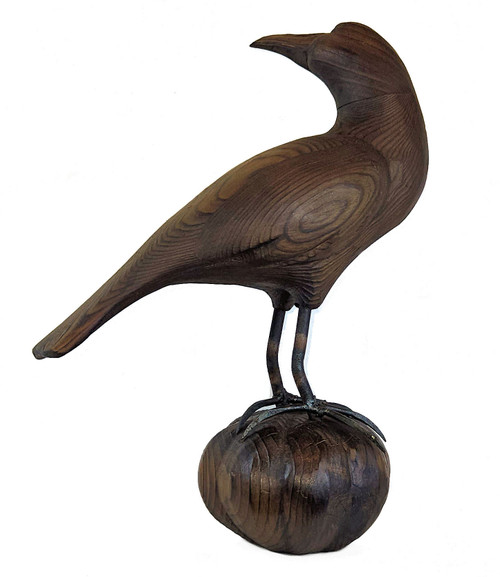Sho-Shugi Ban Turned Head Crow on Pumpkin Sho-Shugi Ban Turned Head Crow on Pumpkin