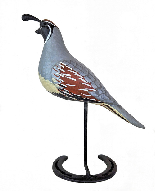 Gambel's Quail