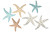 Dimples and Dots Starfish