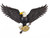 Eagle with Shield and Arrows